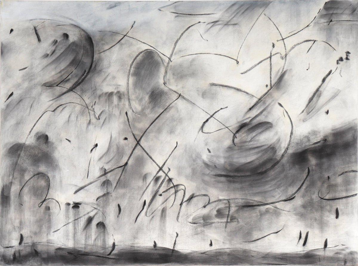 &lt;I&gt;Funscape&lt;/I&gt;&lt;br&gt;2009 Acrylic &amp; Charcoal&lt;br&gt;&lt;br&gt;#C6193