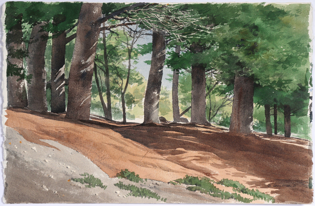 &lt;I&gt;Fall in the Forest&lt;/I&gt;&lt;br&gt;1992 Watercolor&lt;br&gt;&lt;br&gt;#C6643