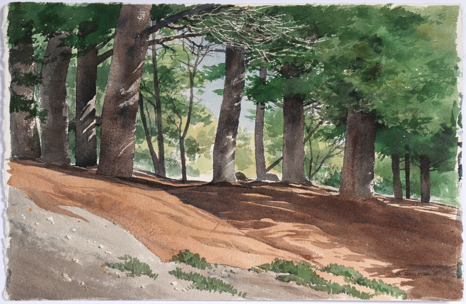 <I>Fall in the Forest</I><br>1992 Watercolor<br><br>#C6643