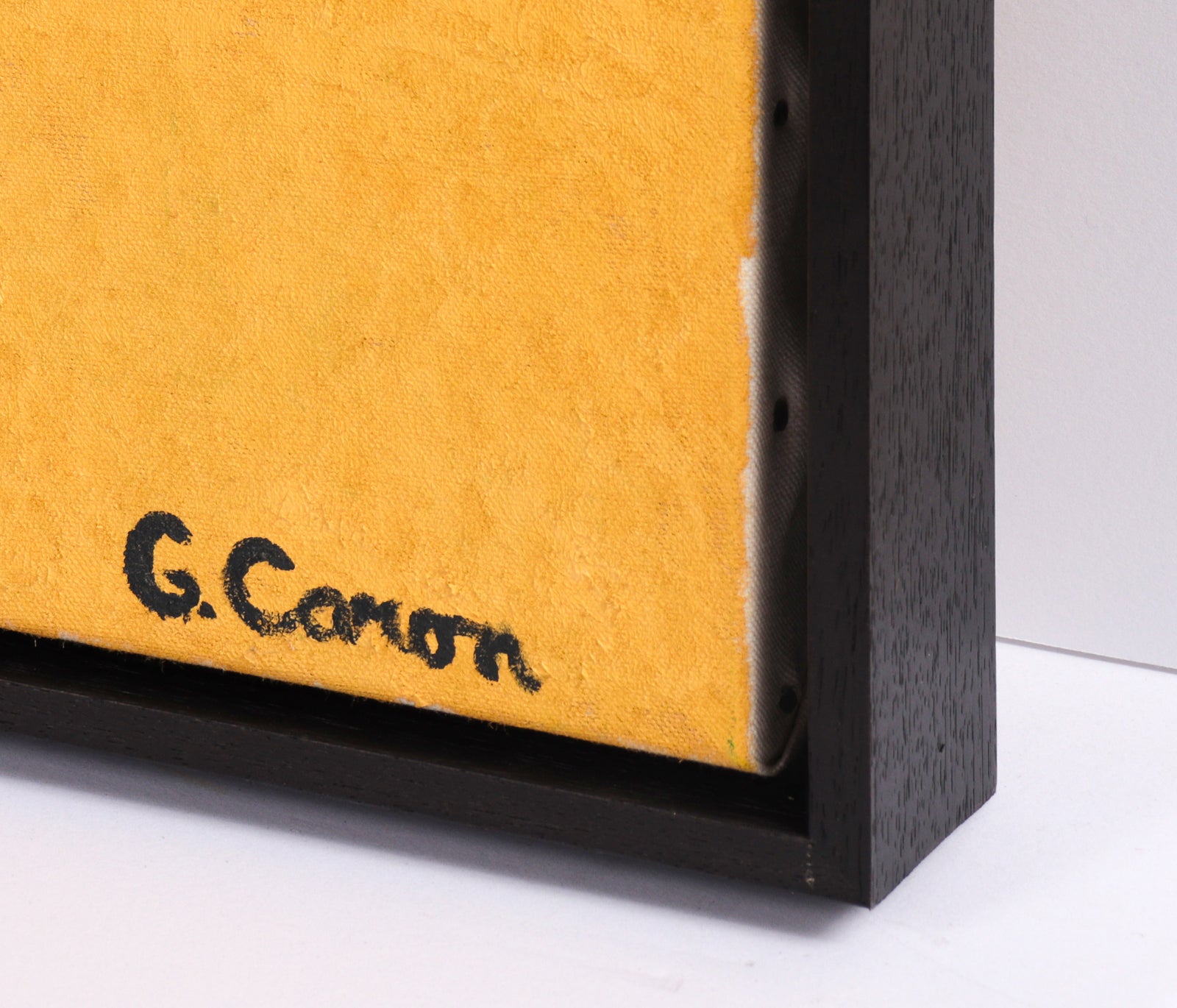 <I>Top of Hill Orchard, Apricot, Indian Summer</I> <br>2024 Oil <br><br>#C6663