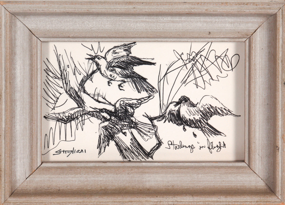 &lt;i&gt;Starlings in Flight&lt;/i&gt; &lt;br&gt;20th Century Ink &lt;br&gt;&lt;br&gt;#90477