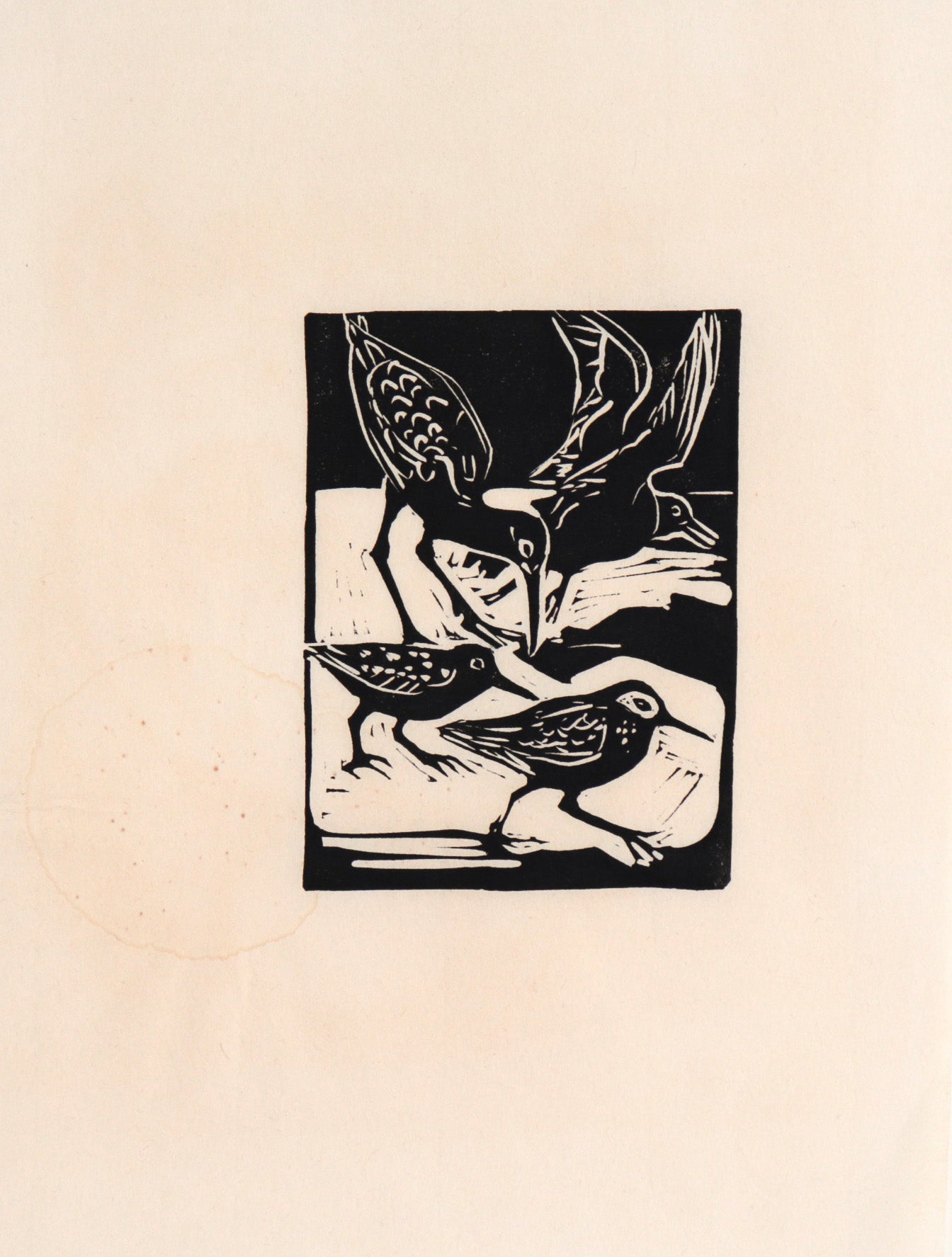 Seabird Caucus <br>20th Century Woodblock Print <br><br>#C7315