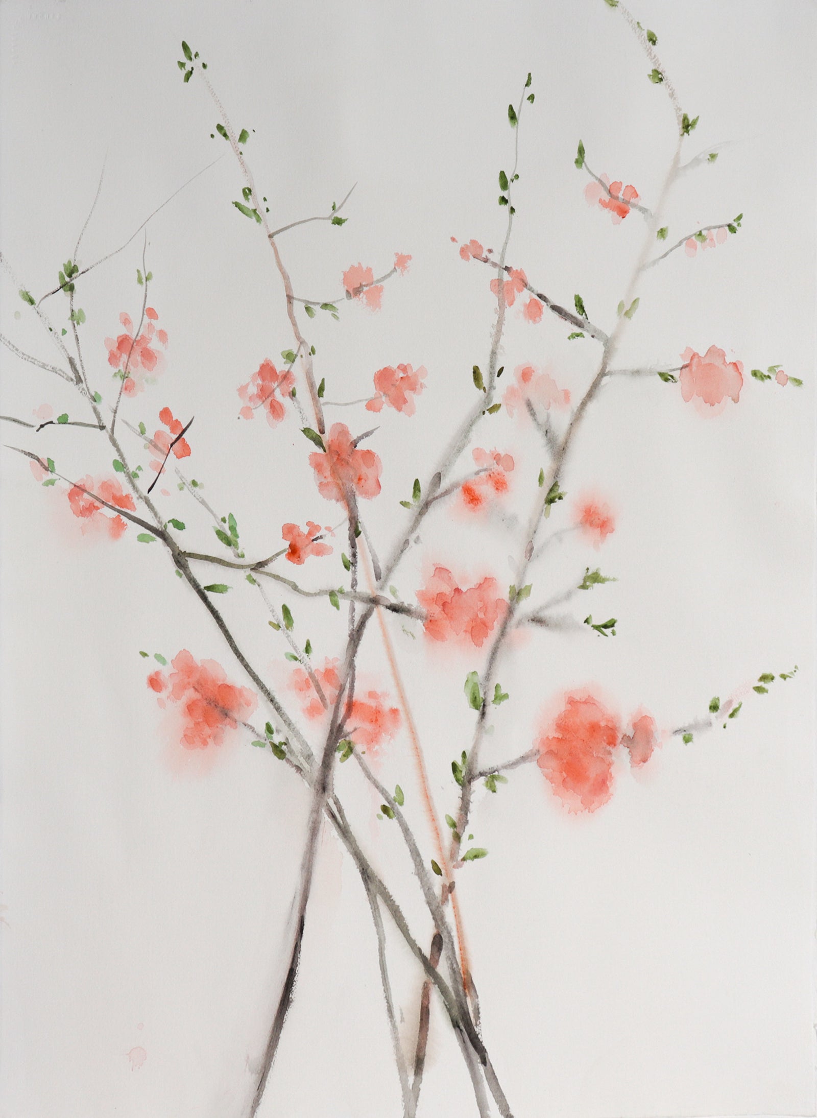 Cherry Blossom Bunch <br>Late 20th Century Watercolor <br><br>#C7529