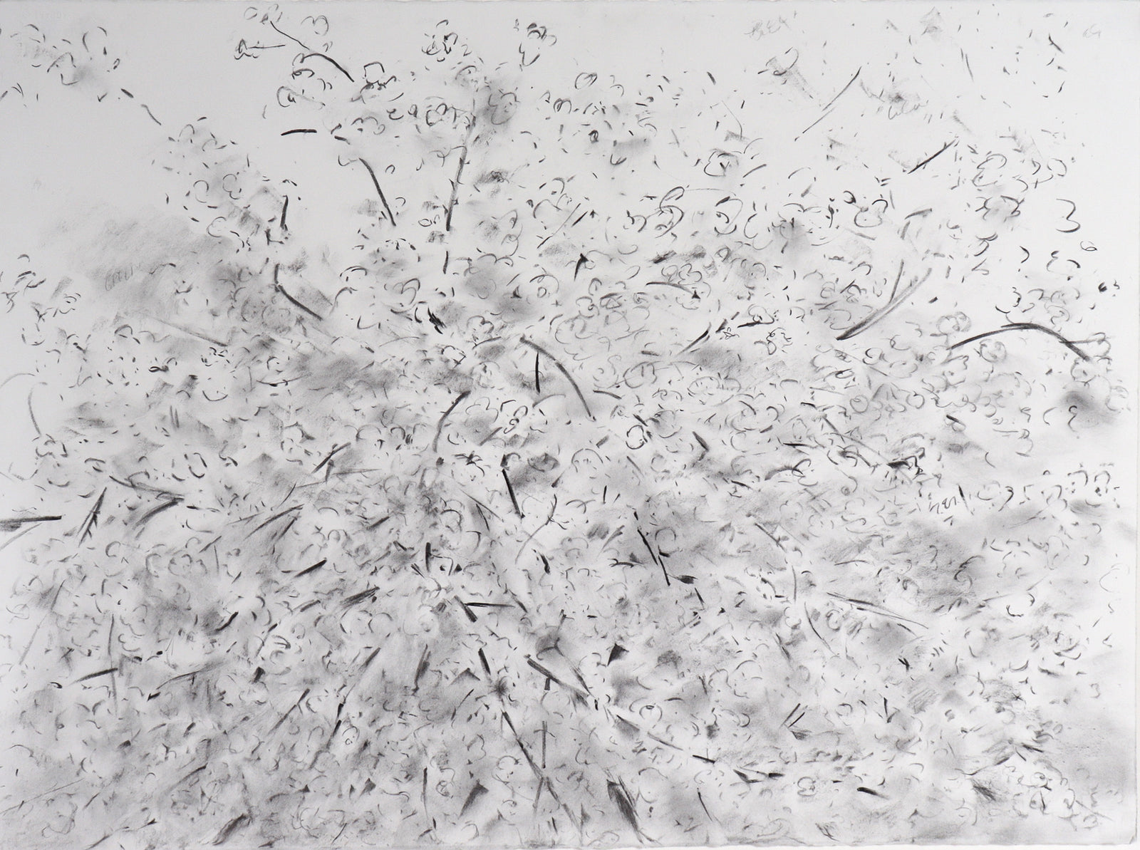 Black & White Abstracted Floral Assemblage <br>20th Century Charcoal <br><br>#C7531