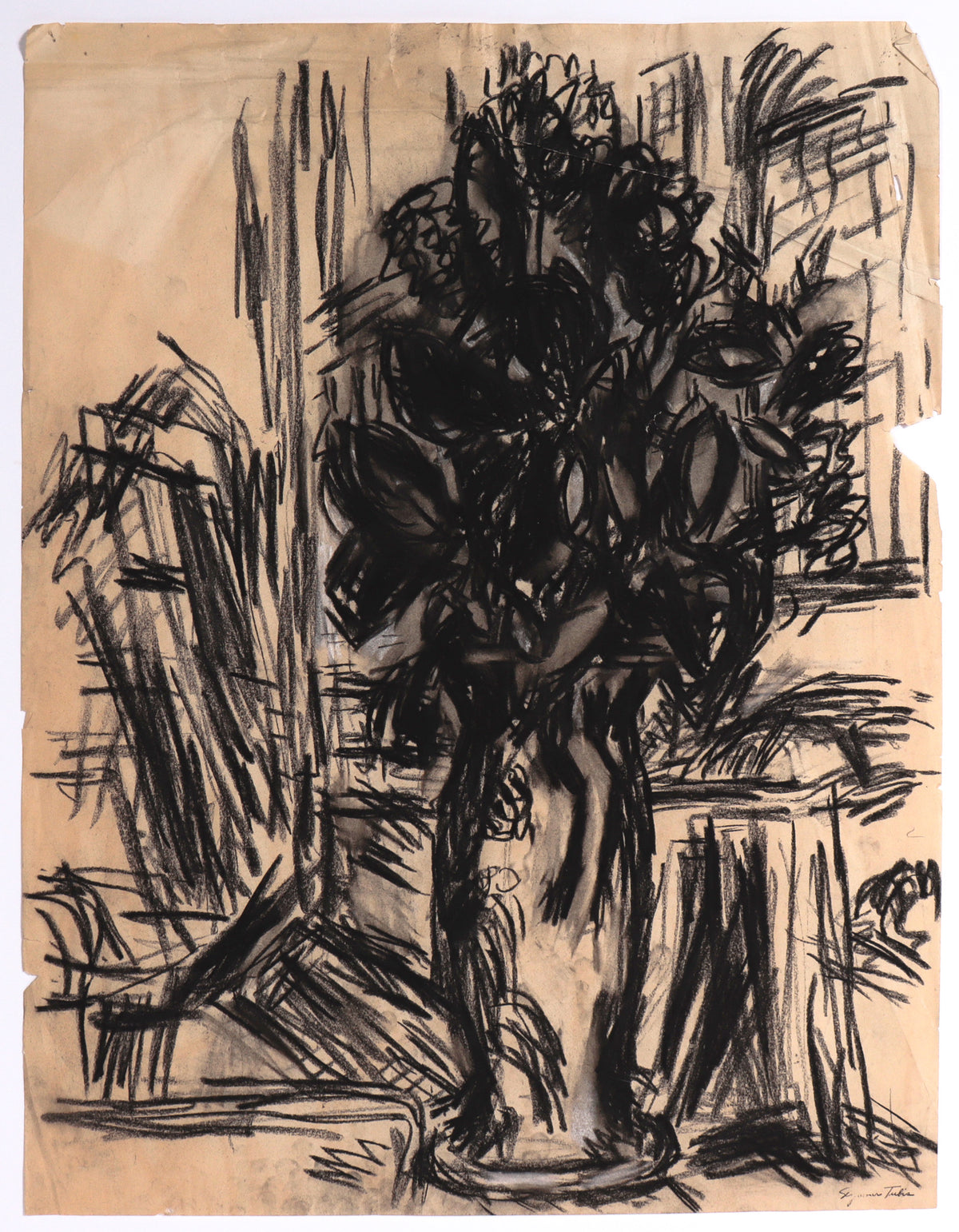 Bold Still Life With Vase of Flowers <br>Mid Century Charcoal <br><br>#C8124