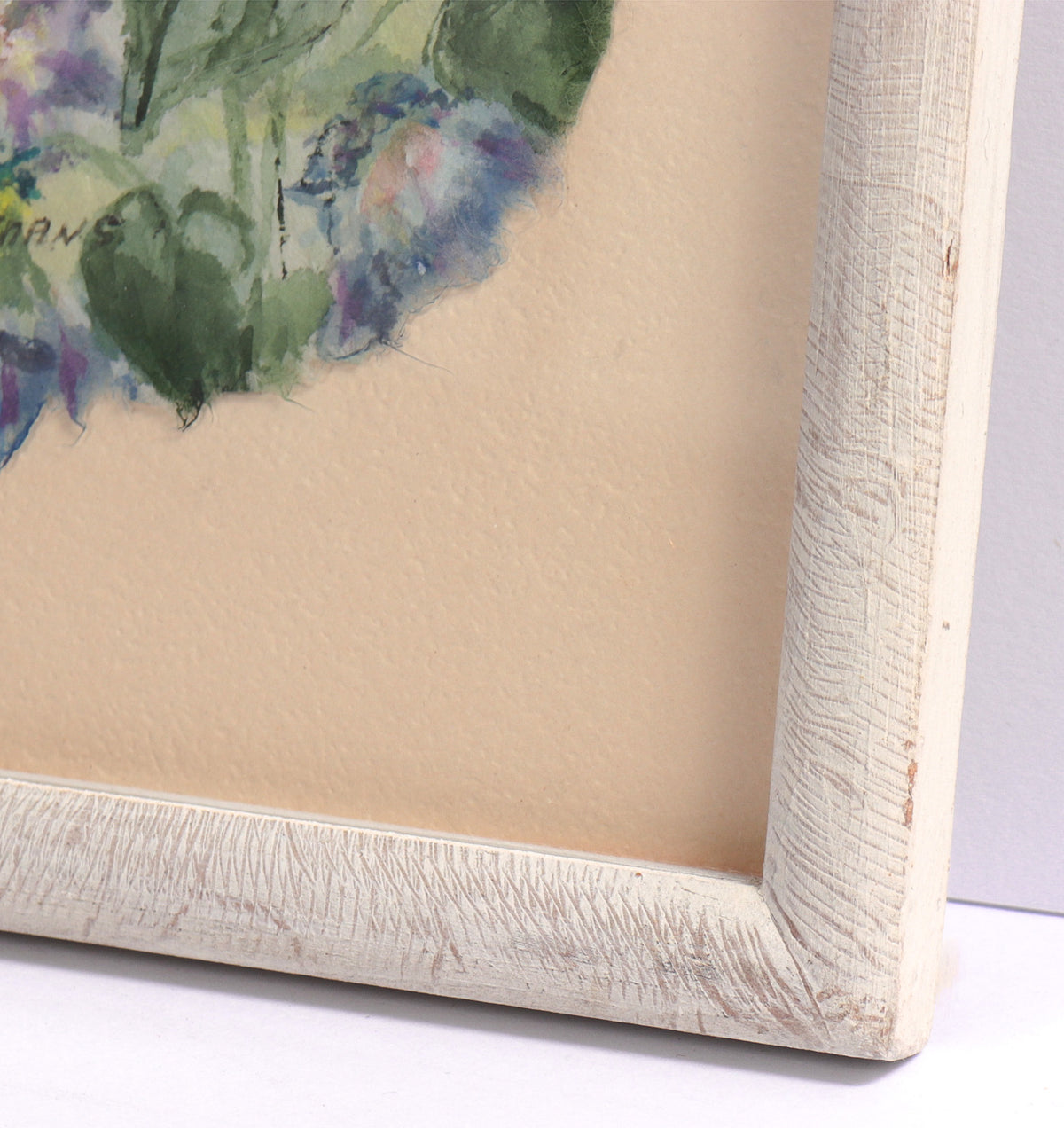 <I>Morning Glory</I> <br>1980's Watercolor <br><br>#C8168