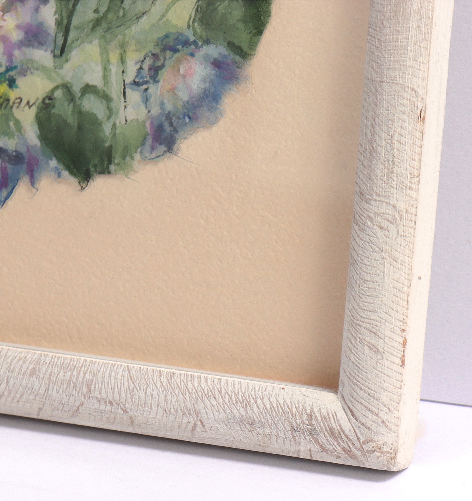 <I>Morning Glory</I> <br>1980's Watercolor <br><br>#C8168