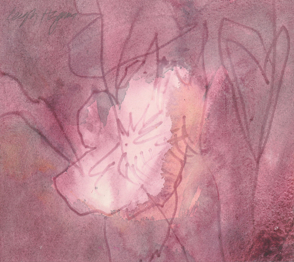 <i>White Flower</i> <br>20th Century Ink &amp; Watercolor <br><br>#C8585