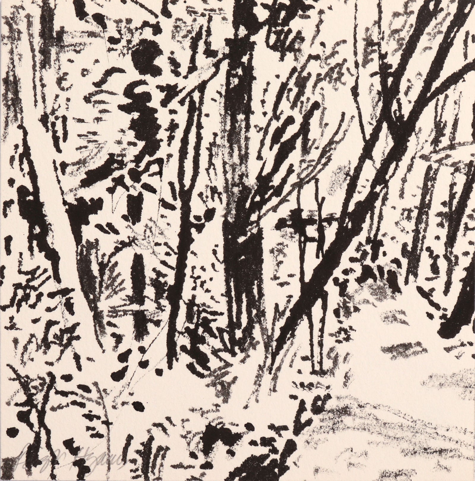 <i>Forest Path</i> <br>20th Century Ink <br><br>#C8586