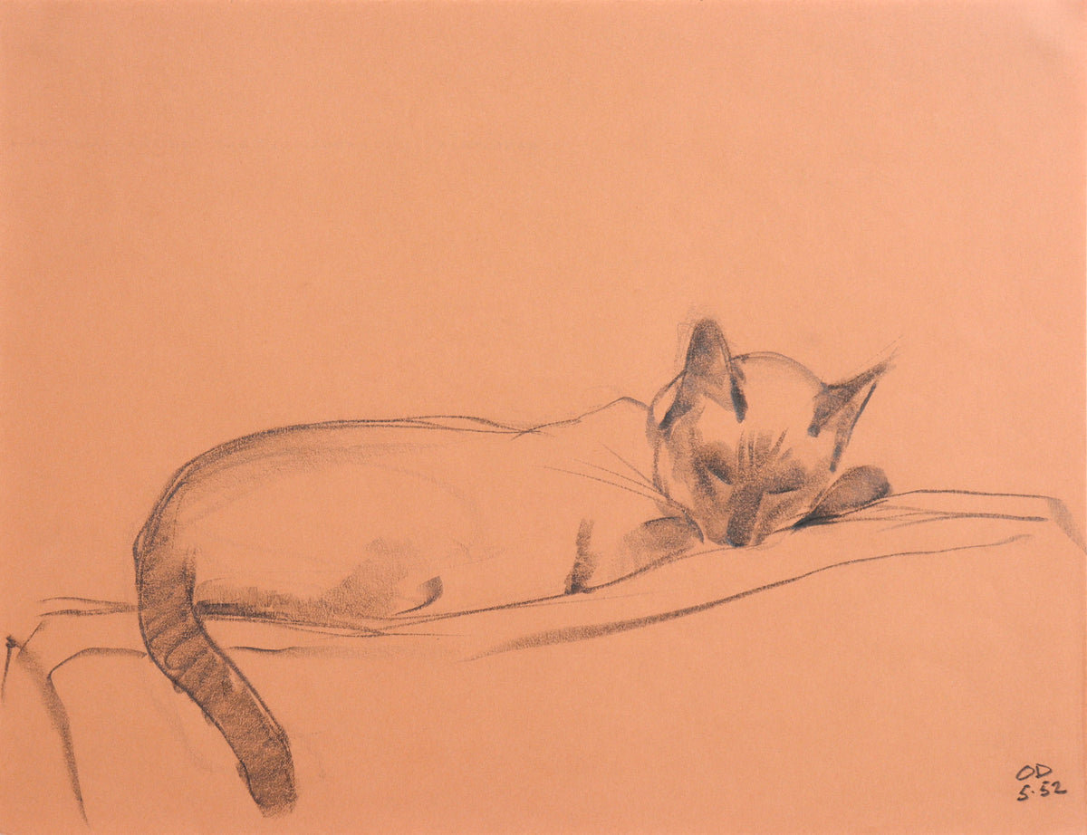 Sleeping Cat on the Sofa &lt;br&gt;May 1952 Graphite &lt;br&gt;&lt;br&gt;#C9018