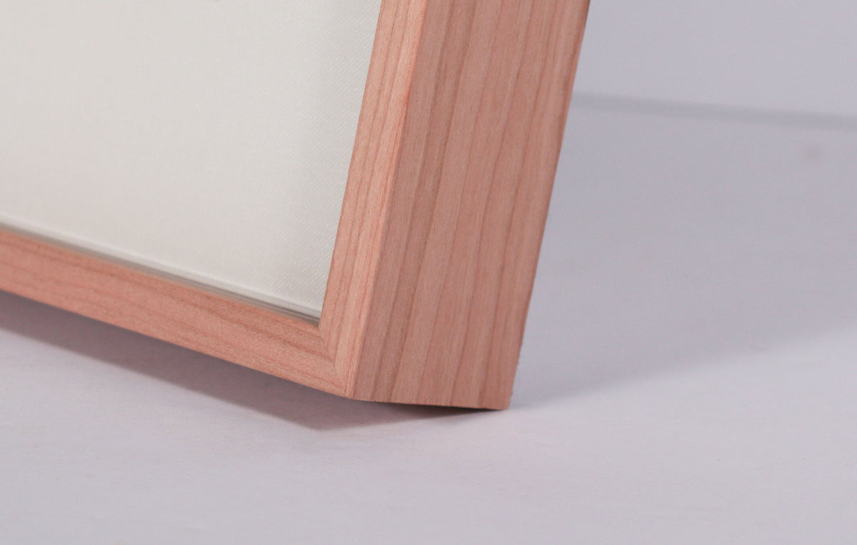 <i>Sunflower</i> <br>2025 Oil & Graphite on Paper <br><br>#C9066