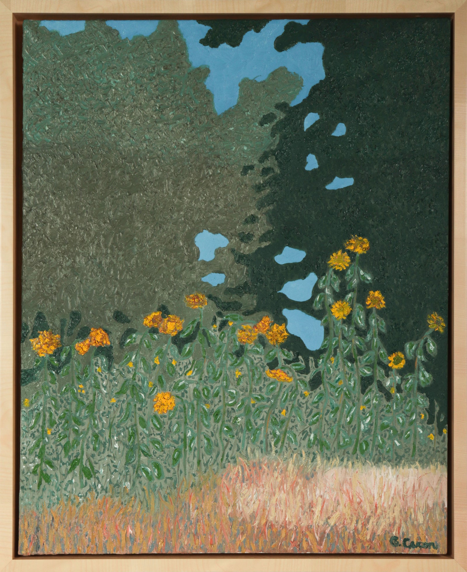 <i>Sunflowers, Late Afternoon</i> <br>2025 Oil <br><br>#C9107