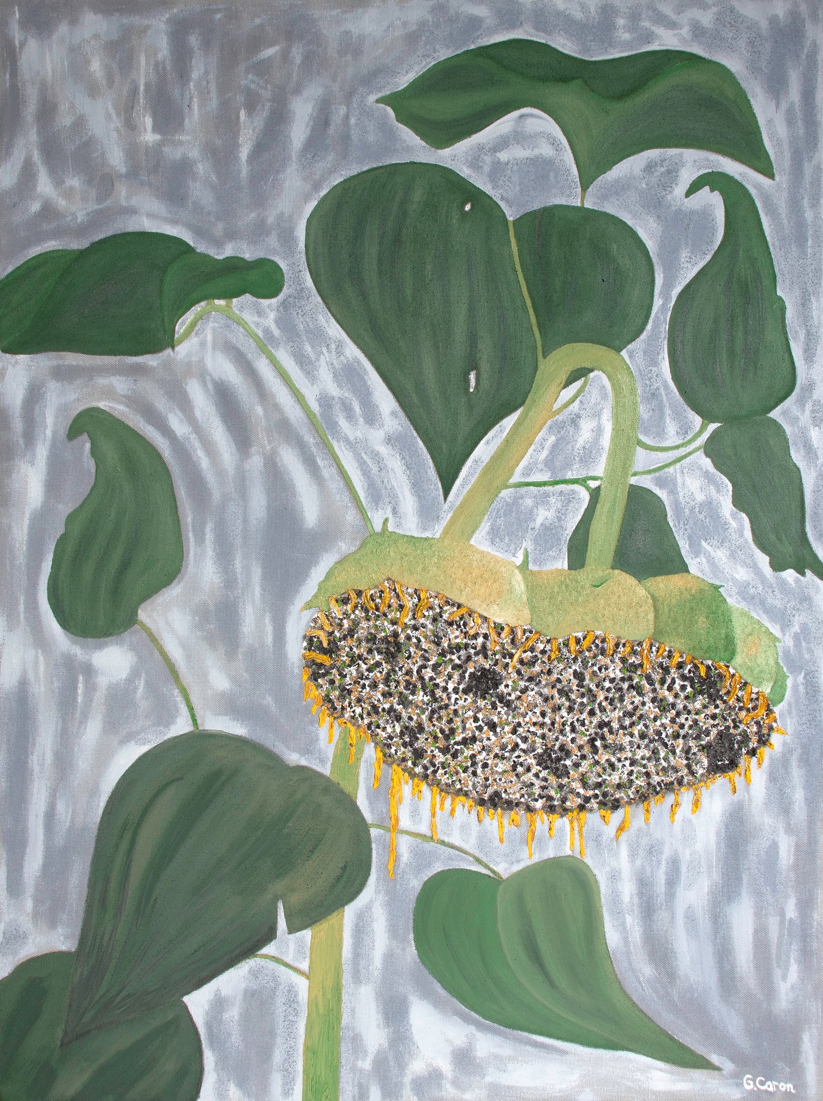 <i>Life Size Flower</i> <br>2025 Oil <br><br>#C9108