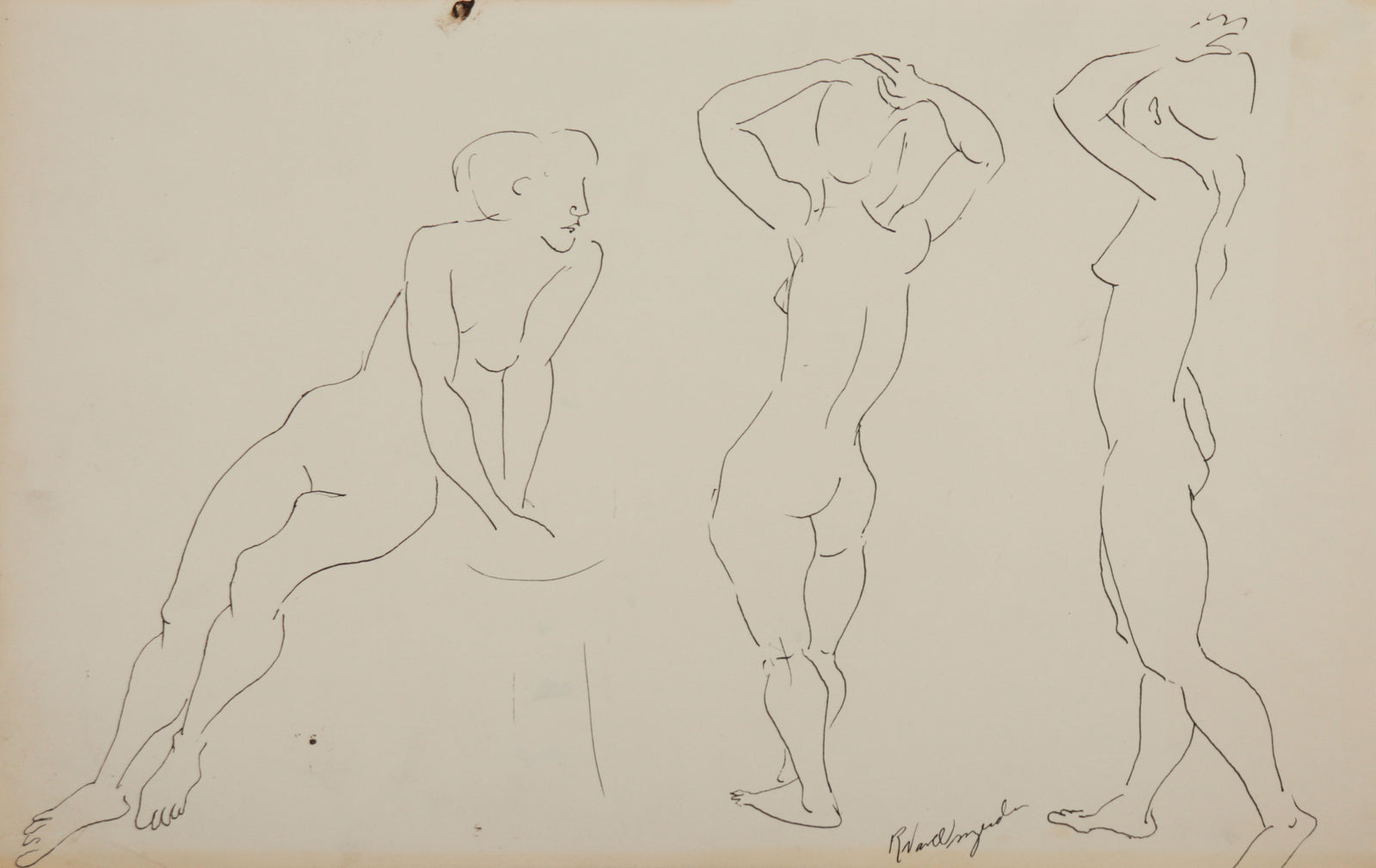 Posed Female Nude Study <br>1940-60s Ink <br><br>C9404