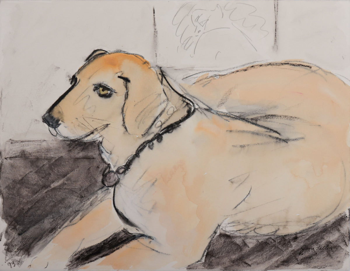 Resting Yellow Lab <br>1993 Watercolor &amp; Charcoal <br><br>#D0004