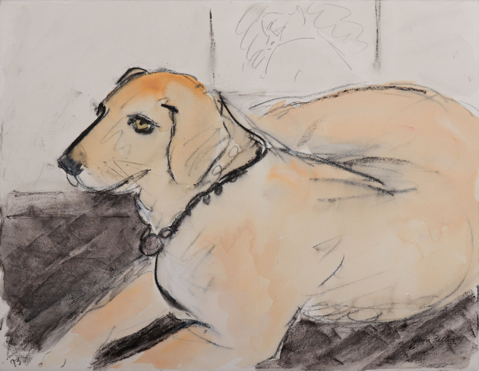 Resting Yellow Lab <br>1993 Watercolor & Charcoal <br><br>#D0004