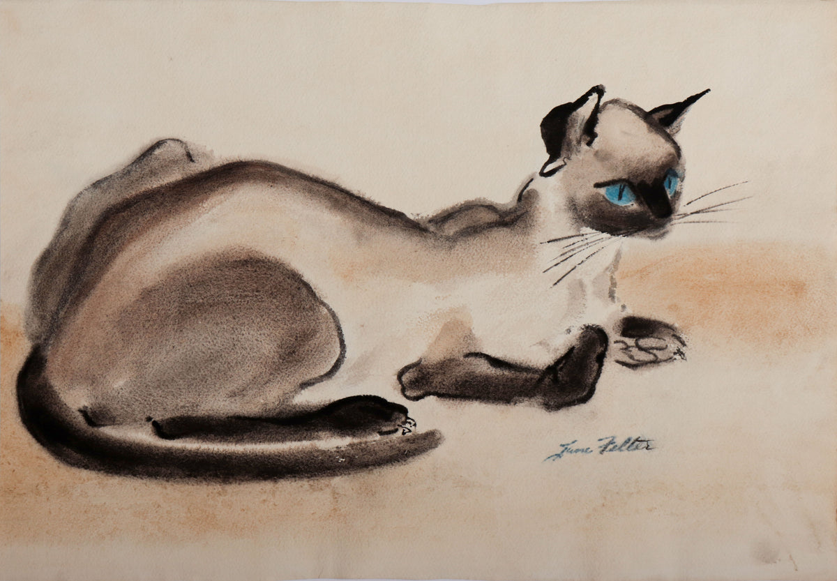 Dignified Siamese Cat <br>1950s Watercolor <br><br>#D0005