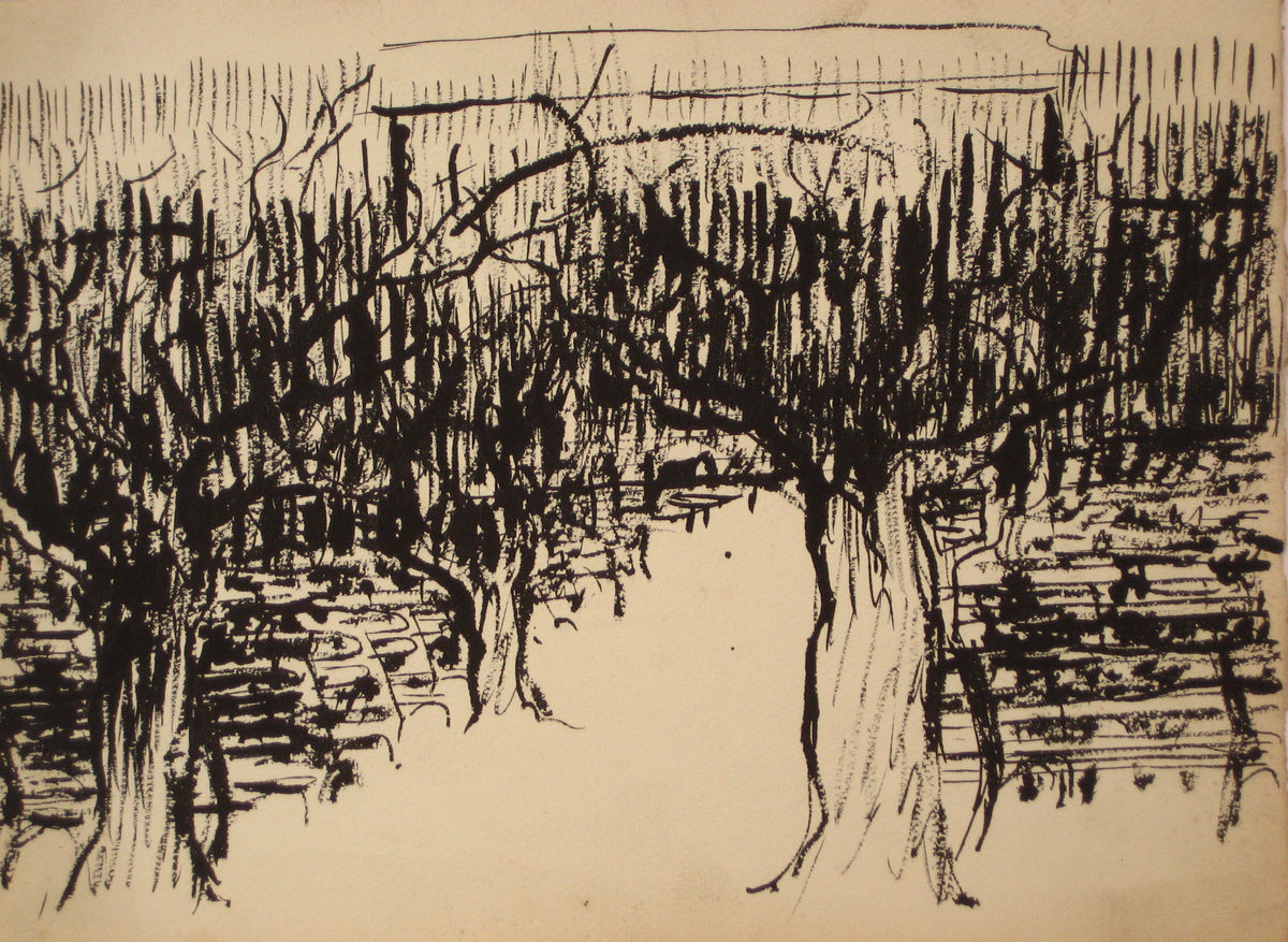 Concourse at the De Young, San Francisco <br>1940-60s Ink <br><br>#4648