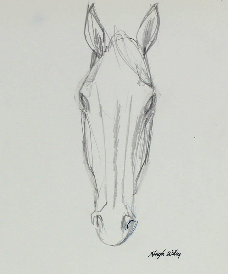 Portrait of a Horse<br>1974 Graphite<br><br>#52181