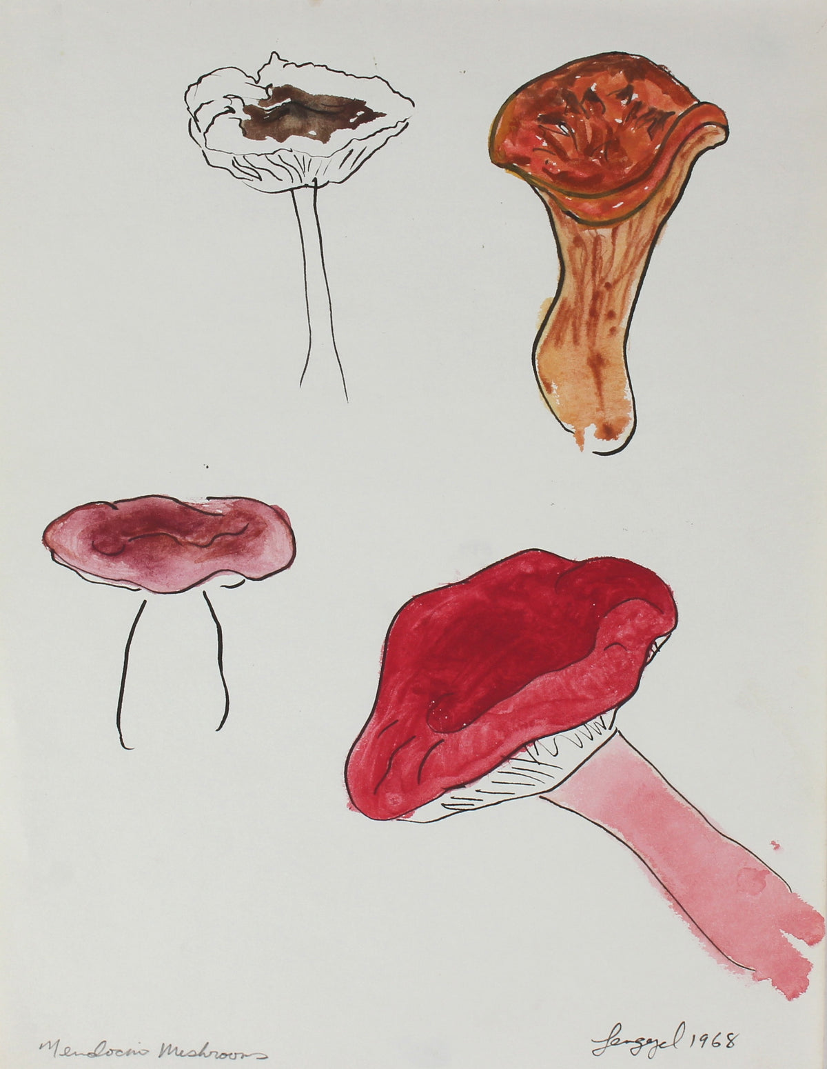 &lt;i&gt;Mendocino Mushrooms&lt;/i&gt; &lt;br&gt;1968 Ink and Watercolor &lt;br&gt;&lt;br&gt;#56812