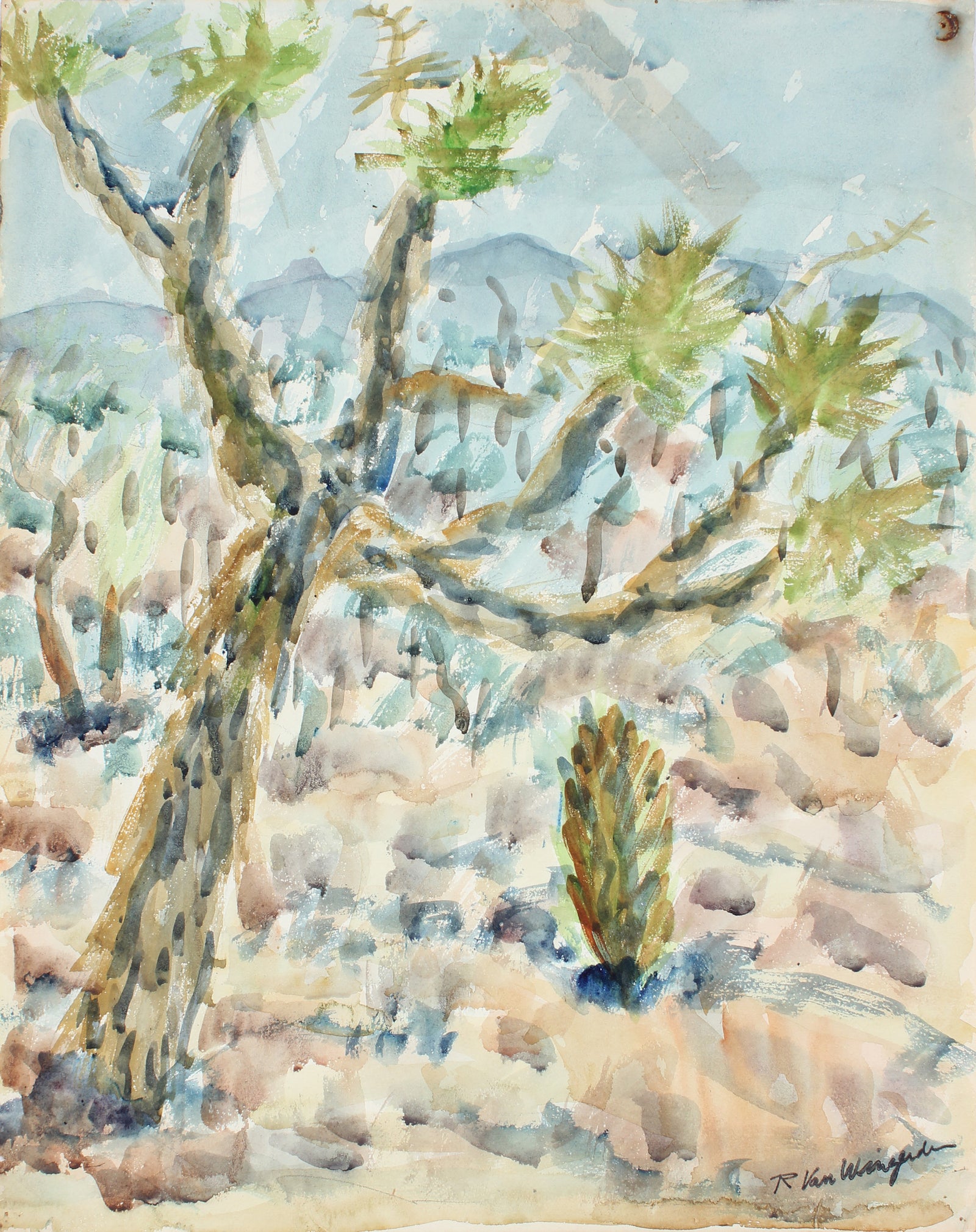 Joshua Tree Expressionist Sketch <br>Mid Century Watercolor <br><br>#5138