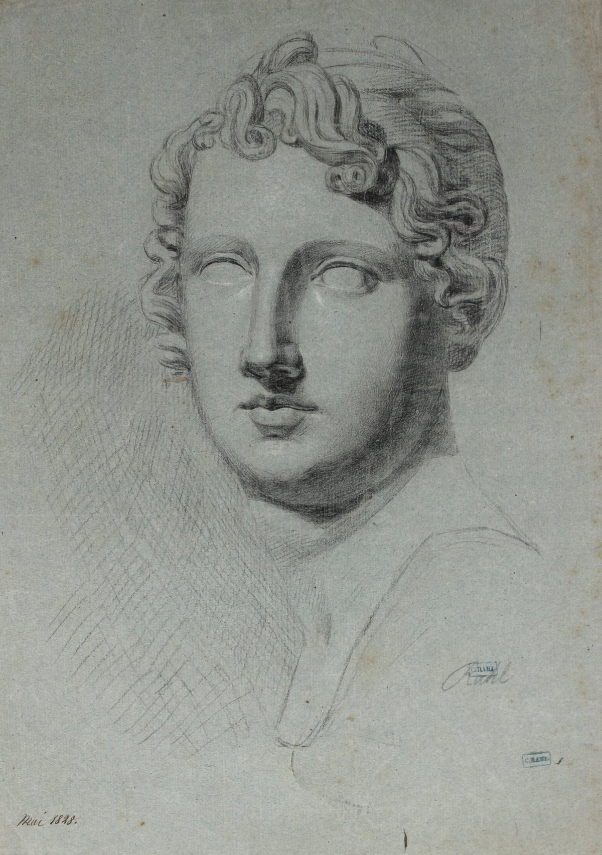 Sculptural Portrait Study <br>1828 Charcoal <br><br>#60078