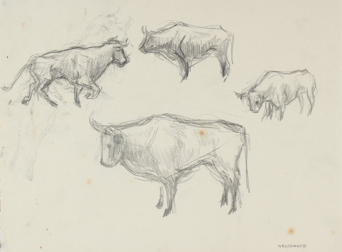 Bull Drawing, Mexico&lt;br&gt;1947 Graphite&lt;br&gt;&lt;br&gt;#86546