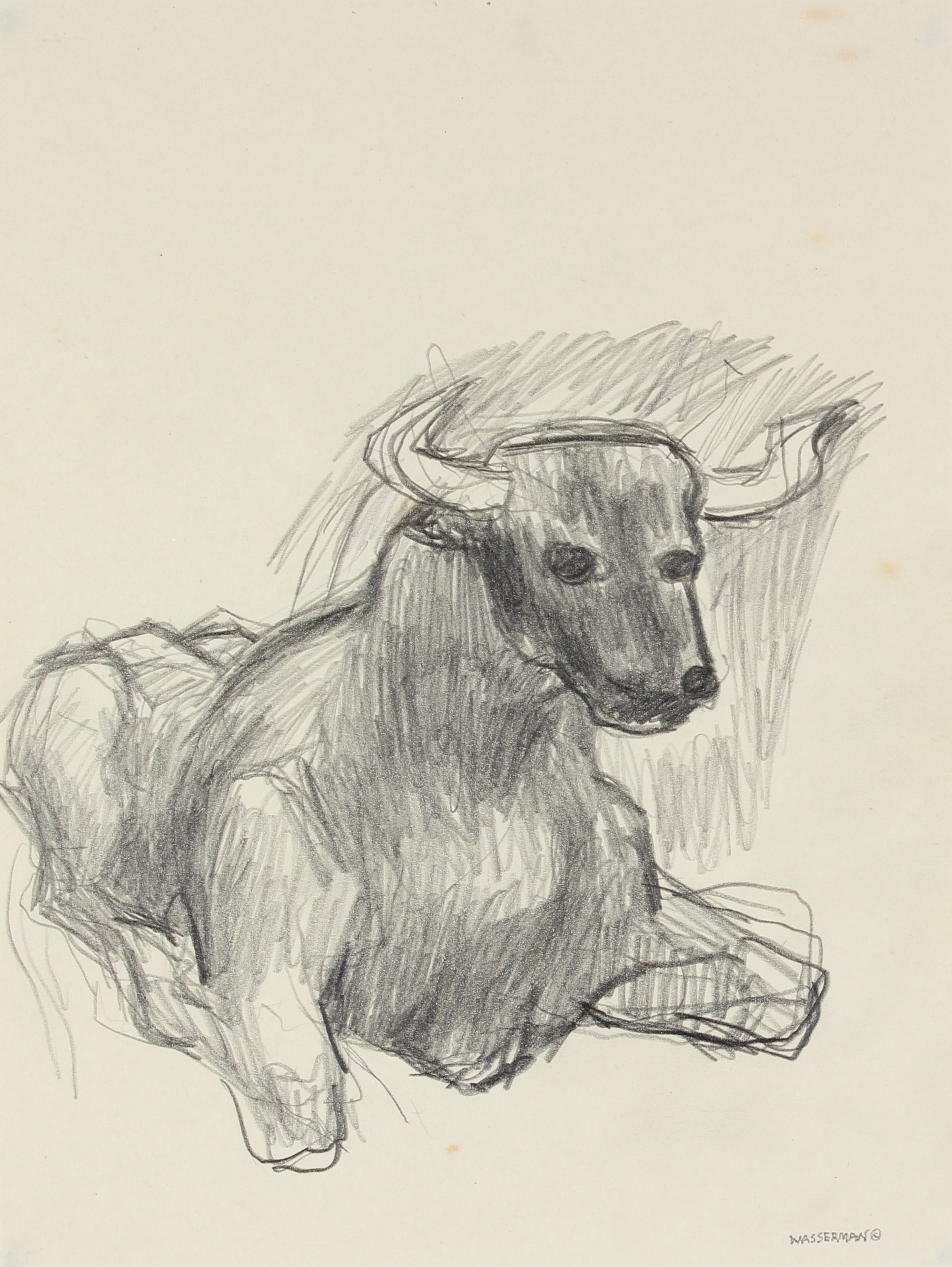 Bull Drawing, Mexico<br>1947 Graphite<br><br>#86551