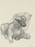 Bull Drawing, Mexico<br>1947 Graphite<br><br>#86551