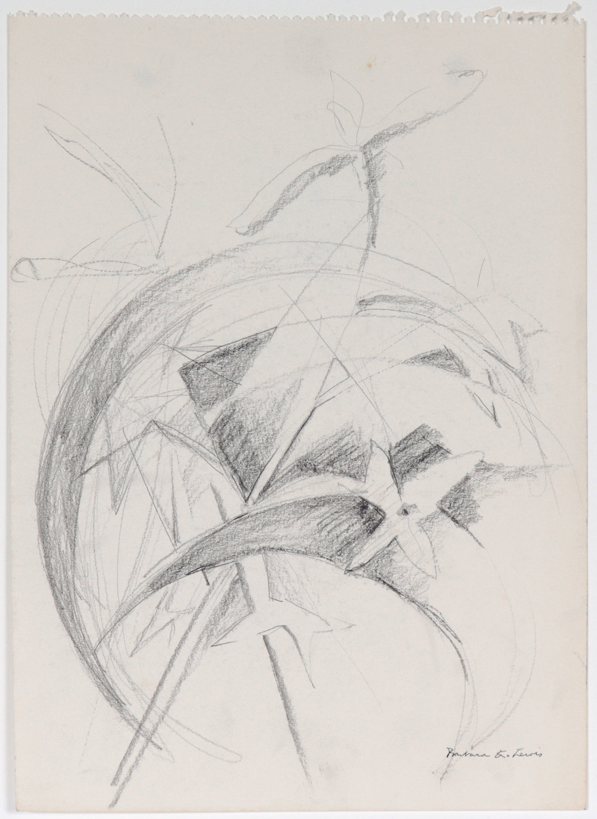 Abstracted Floral Study&lt;br&gt;20th Century Graphite&lt;br&gt;&lt;br&gt;#C4448