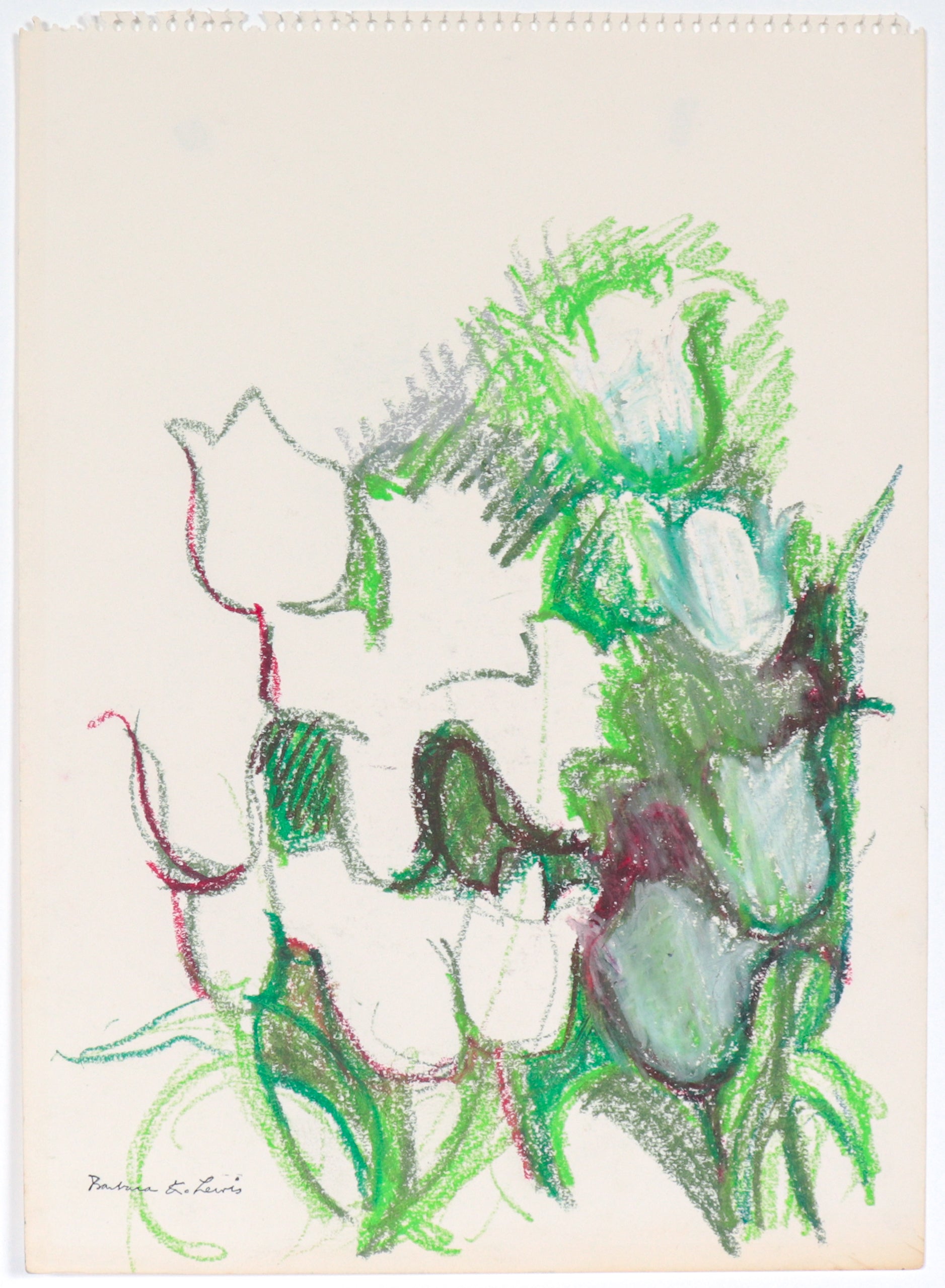 White Tulip Study<br>20th Century Pastel<br><br>#C4452