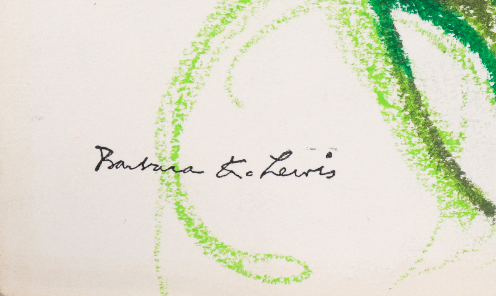 White Tulip Study<br>20th Century Pastel<br><br>#C4452