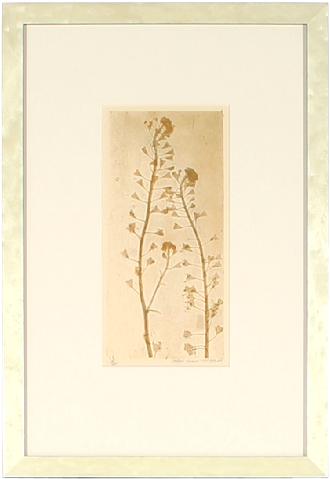 Luminous Botanical Print<br>1981 Serigraph<br><br>#71327