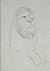 Mid Century Lion Drawing<br>Ink on Paper<br><br>#11378