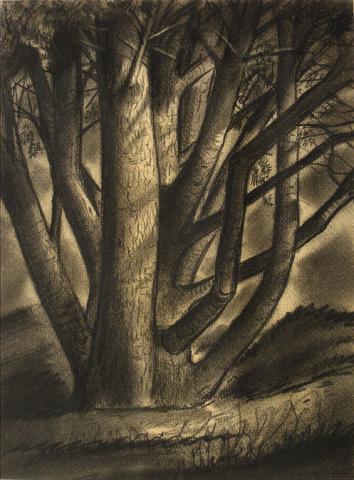 Monochromatic Landscape<br>1930-60s, Charcoal<br><br>#13394