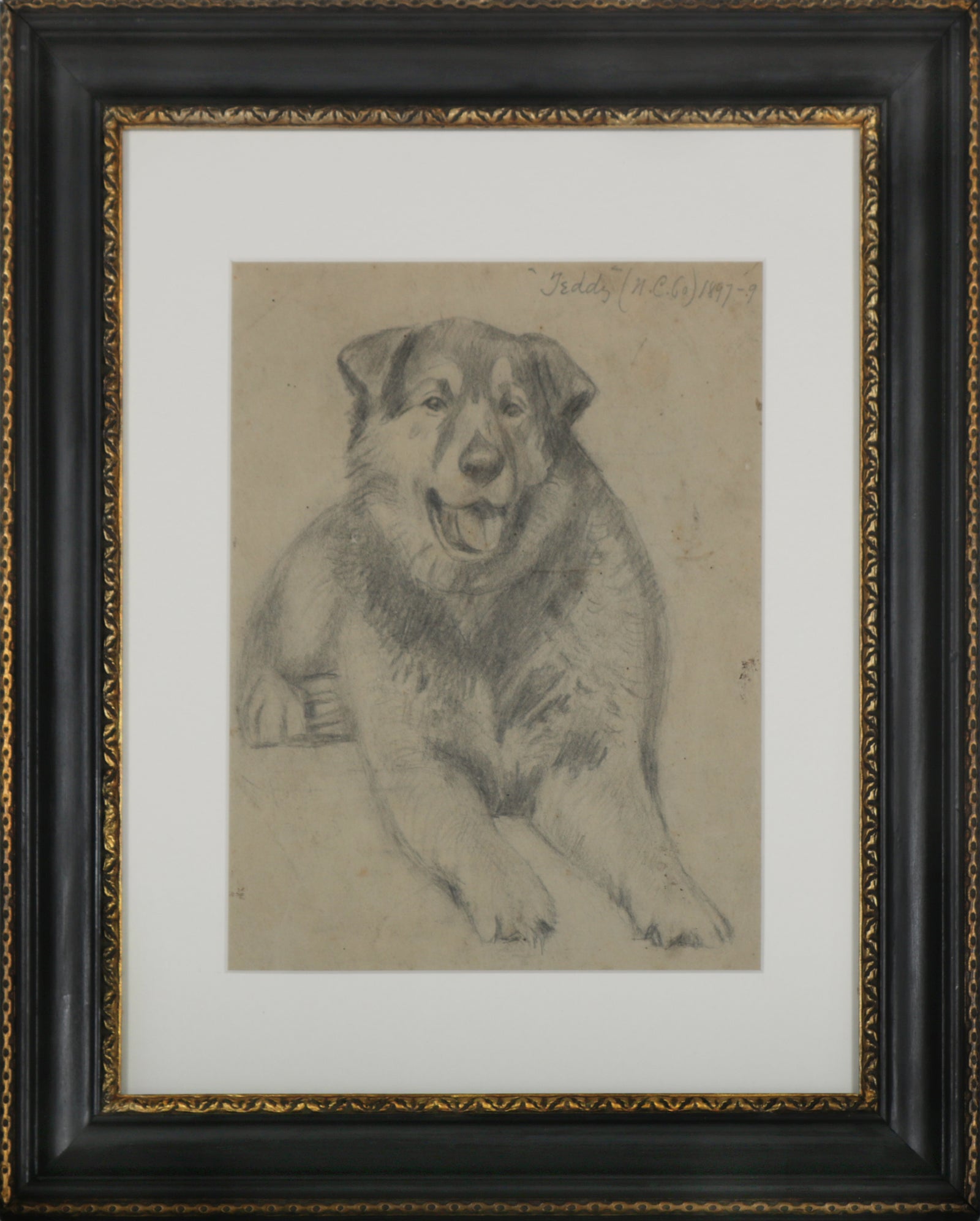<i>Teddy</i> <br>1897-99 Graphite <br><br>#35786