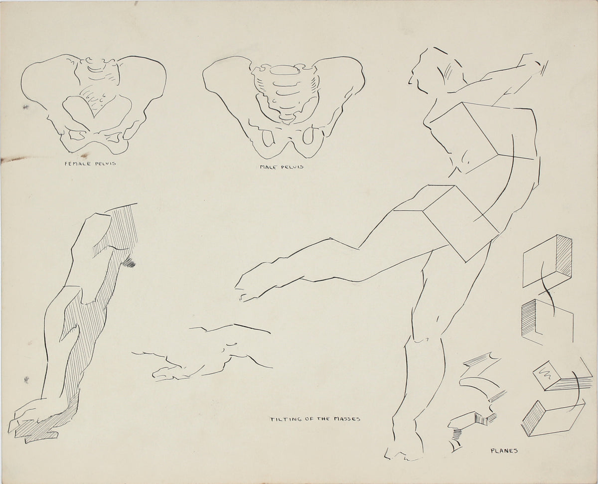 Academic Hips in Motion &lt;br&gt;1951 Ink &amp; Graphite &lt;br&gt;&lt;br&gt;#41361