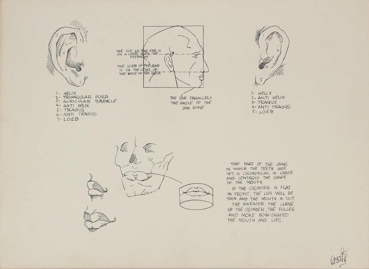 Anatomical Ear Drawing&lt;br&gt;1950s Ink &amp; Graphite &lt;br&gt;&lt;br&gt;#41369