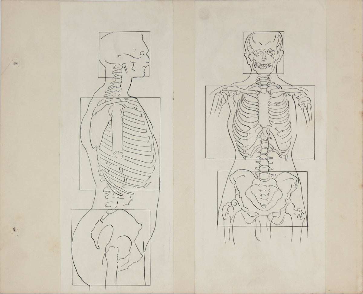 Academic Skeletal Torso Study &lt;br&gt;1950s Ink &amp; Graphite &lt;br&gt;&lt;br&gt;#41375