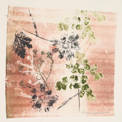 <i>Ashes of Roses</i><br>1963 Monotype<br><br>#71312