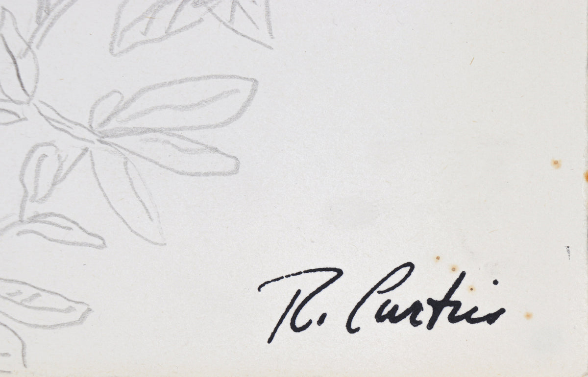 Simple Botanical Drawing<br>Mid Century Graphite<br><br>#5322
