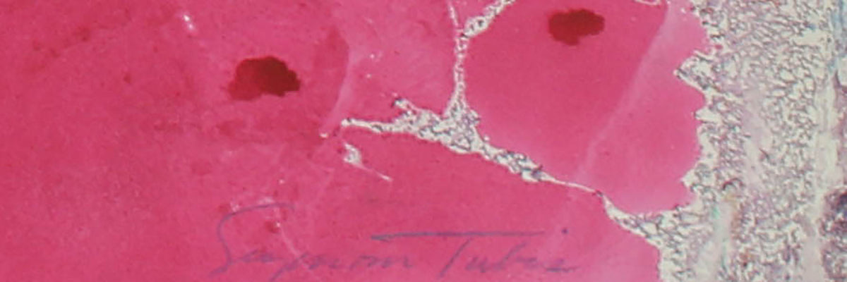 Cosmos X<br>1979 Oil on Paper<br><br>#61199