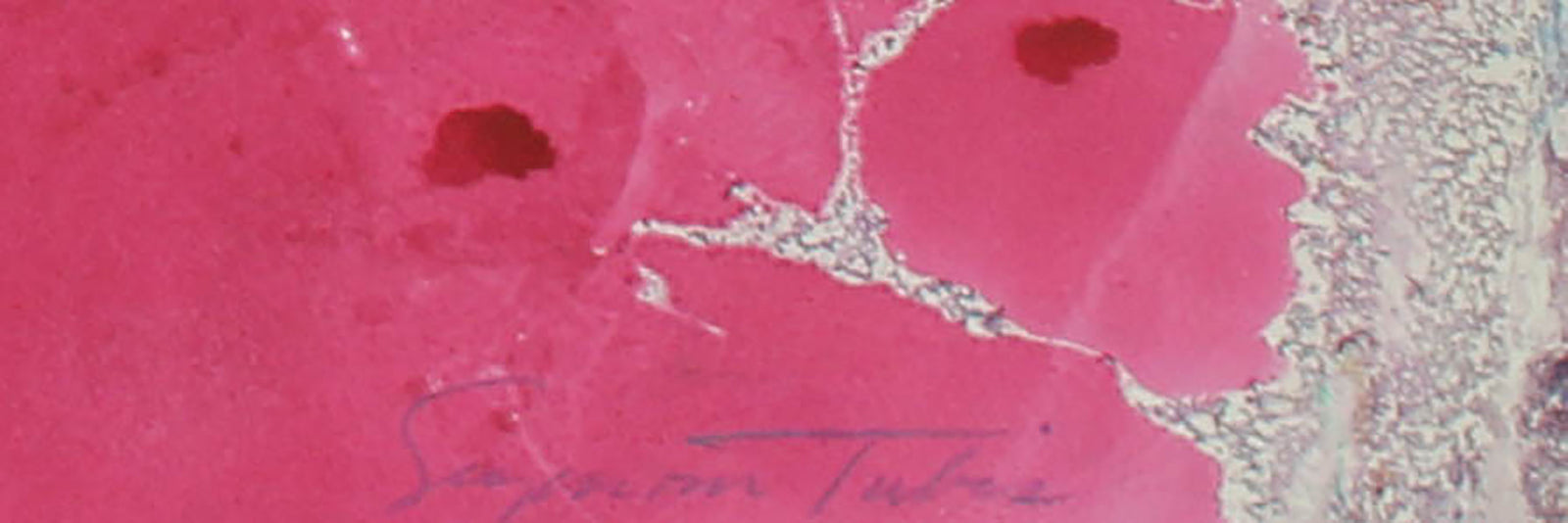 Cosmos X<br>1979 Oil on Paper<br><br>#61199