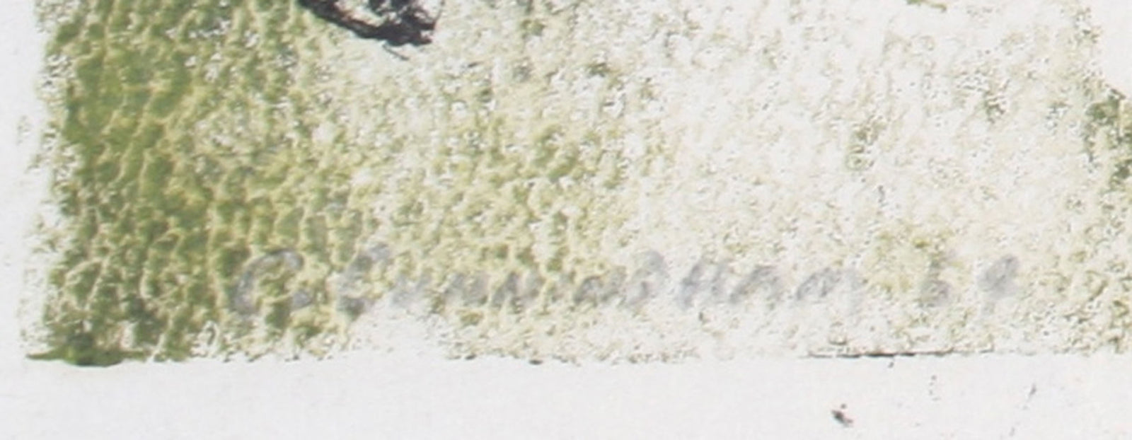 <i>Paisley</i><br>1964 Monotype<br><br>#71321