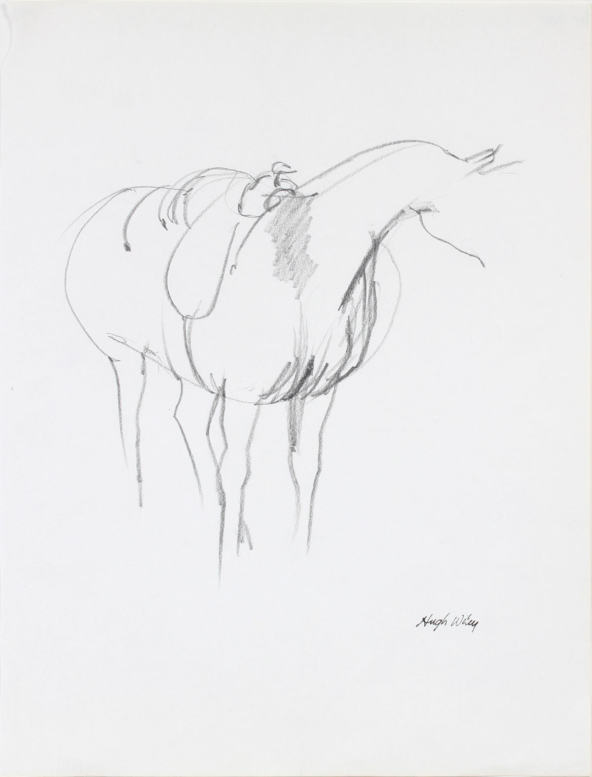 Horse Sketch<br>1974 Graphite<br><br>#72011
