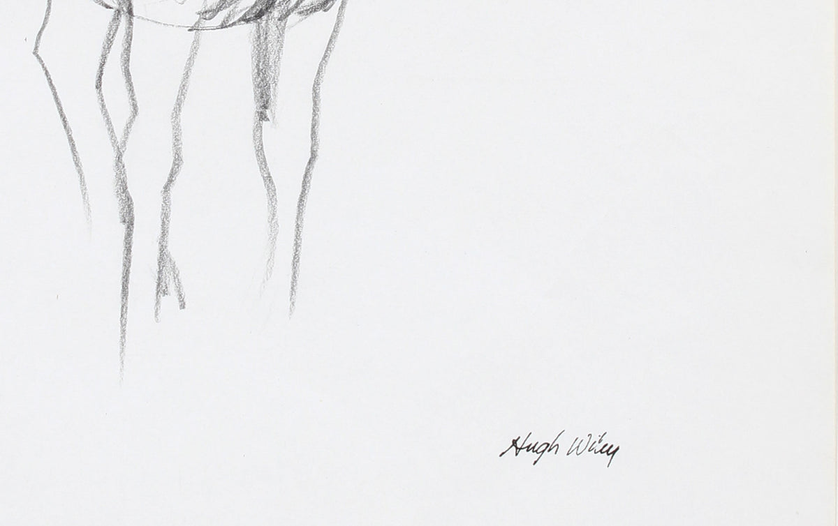 Horse Sketch<br>1974 Graphite<br><br>#72011