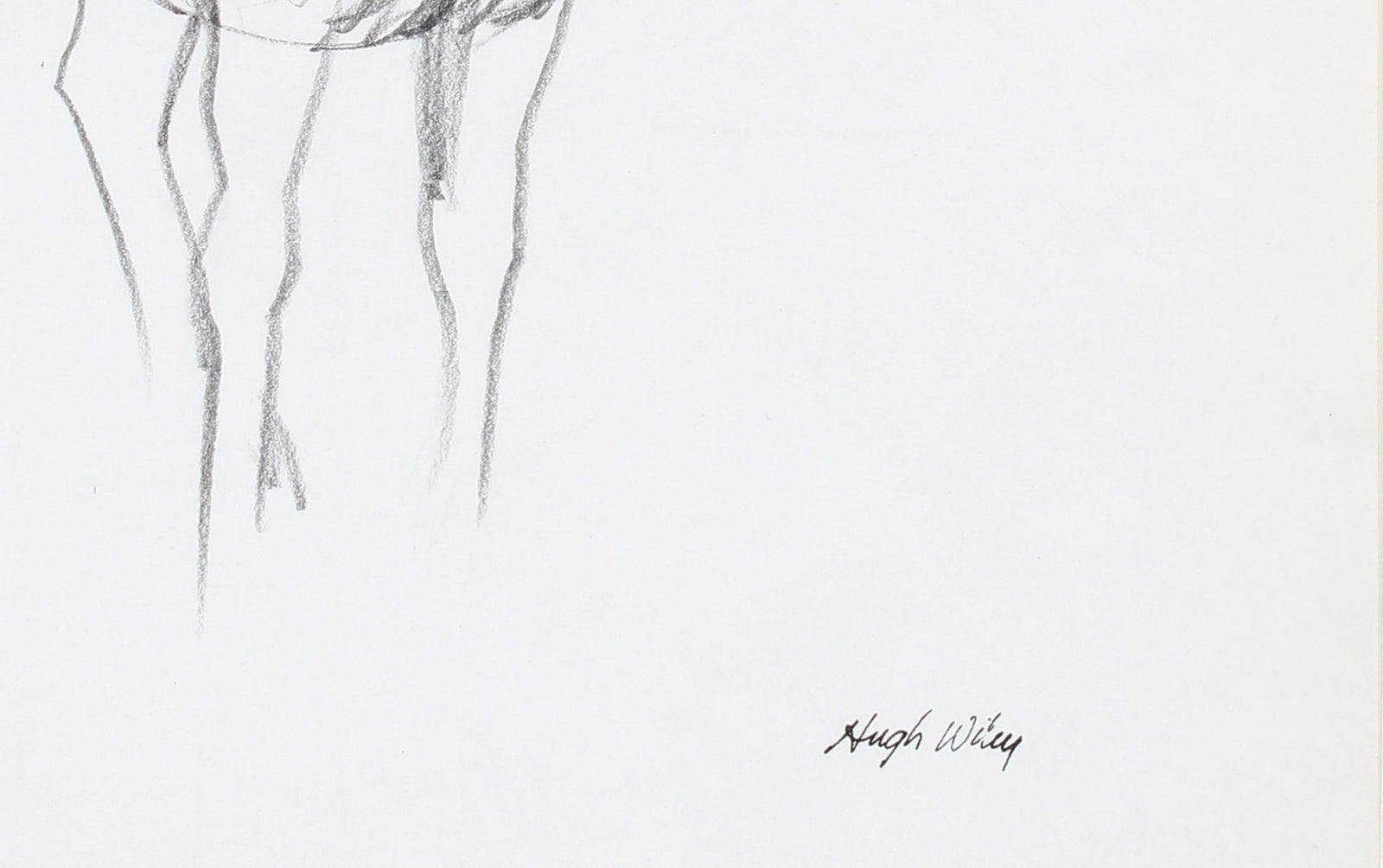 Horse Sketch<br>1974 Graphite<br><br>#72011