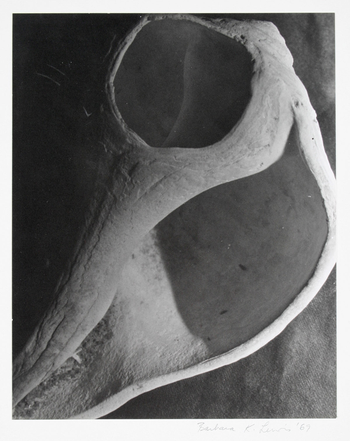 Barbara Lewis Photography - Lost Art Salon