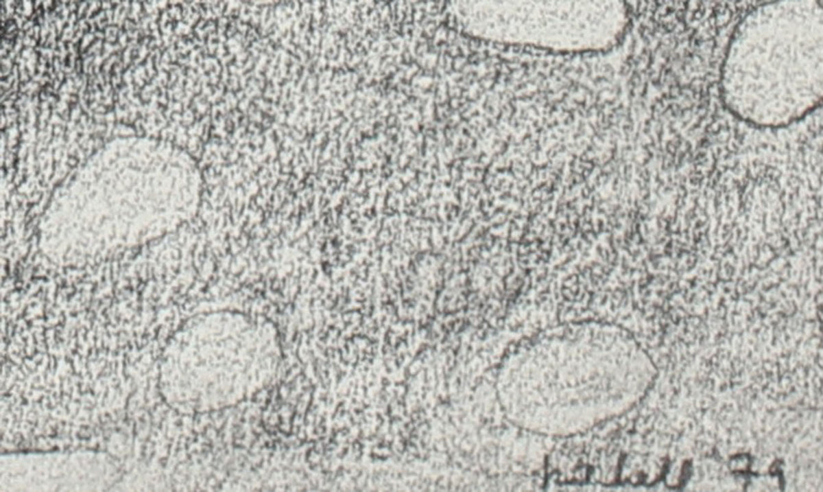 Amorphic Black & White Abstract <br>1979 Graphite <br><br>#86295