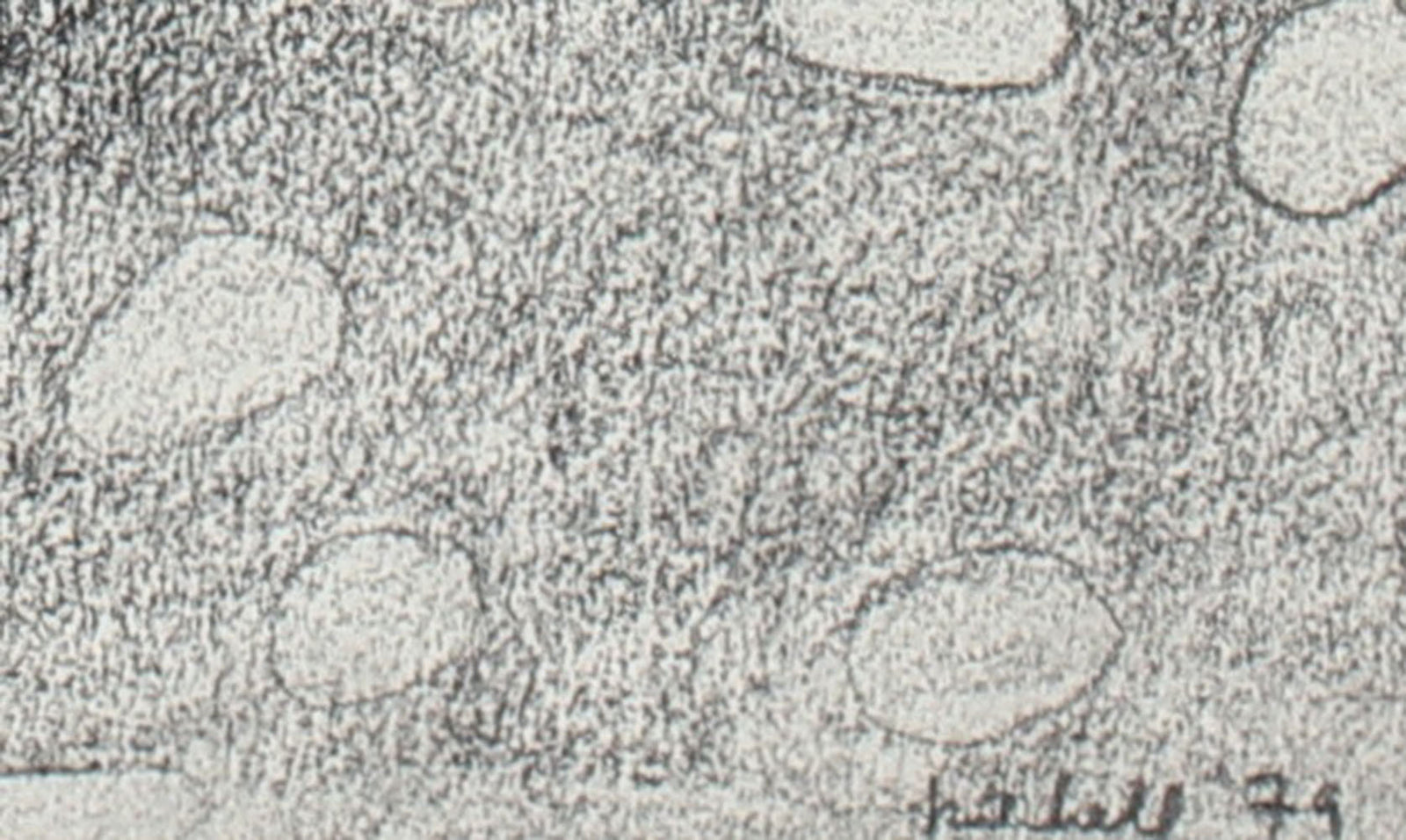 Amorphic Black & White Abstract <br>1979 Graphite <br><br>#86295